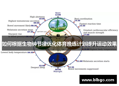 如何根据生物钟节律优化体育晚练计划提升运动效果